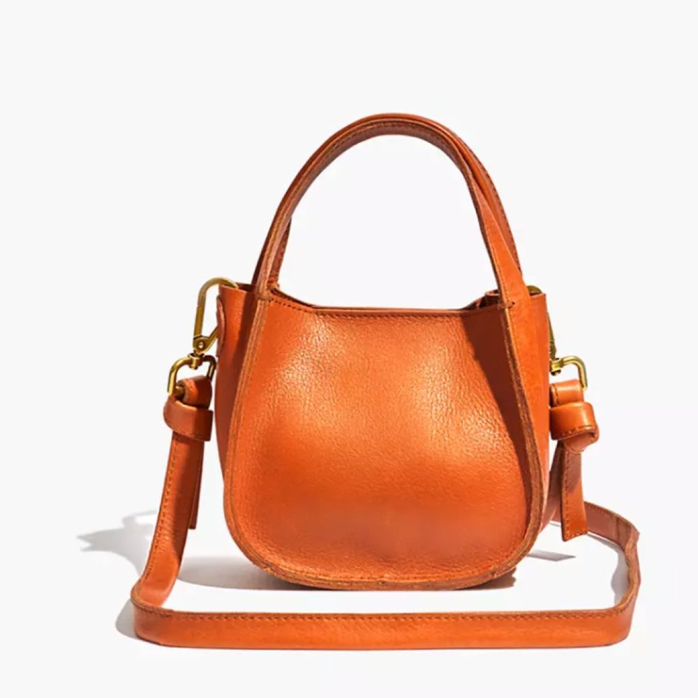 Madewell The Micro Sydney Crossbody Bag in Leather